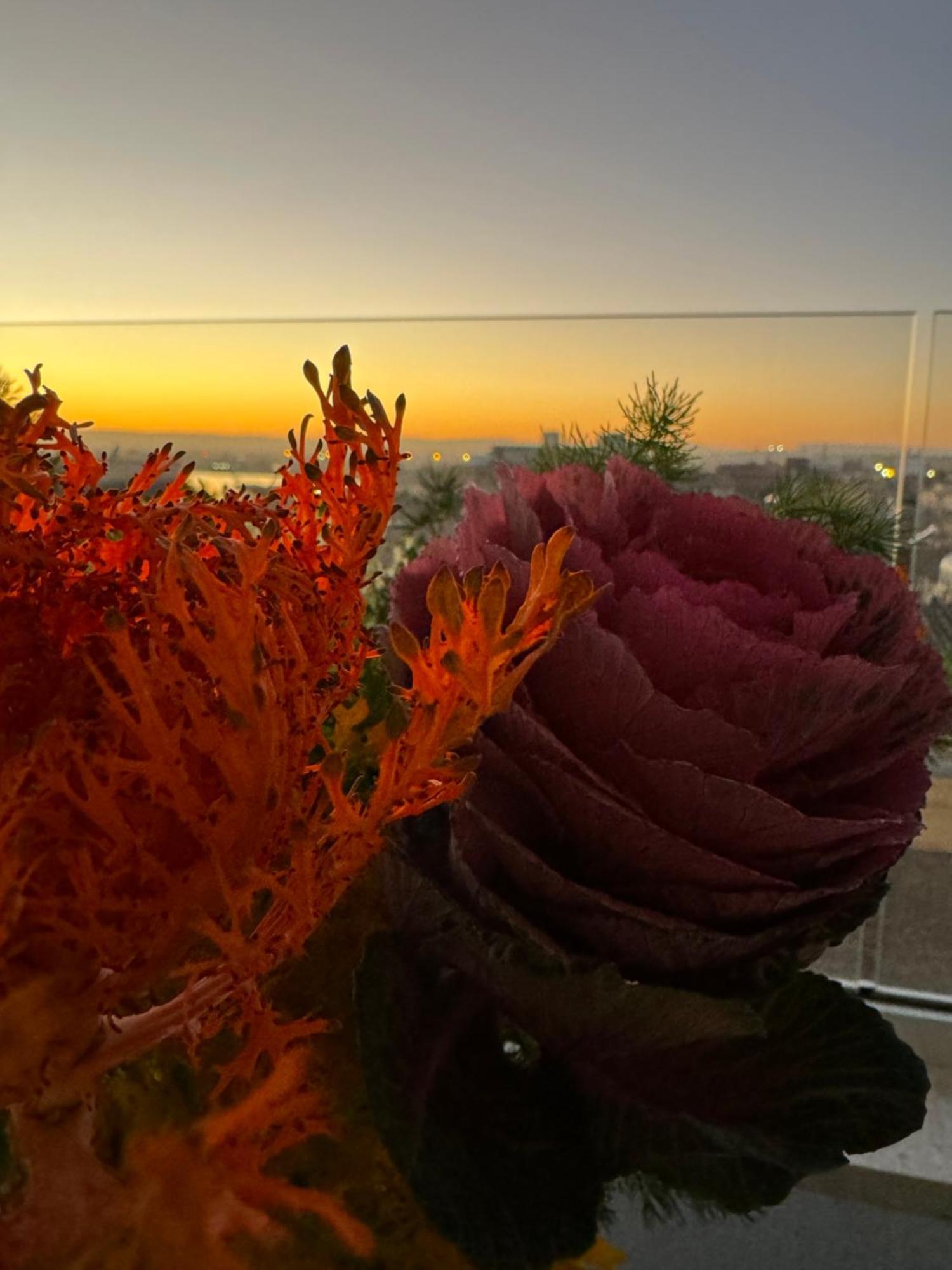 La Terrazza Sul Porto Panzió Szirakúza Kültér fotó