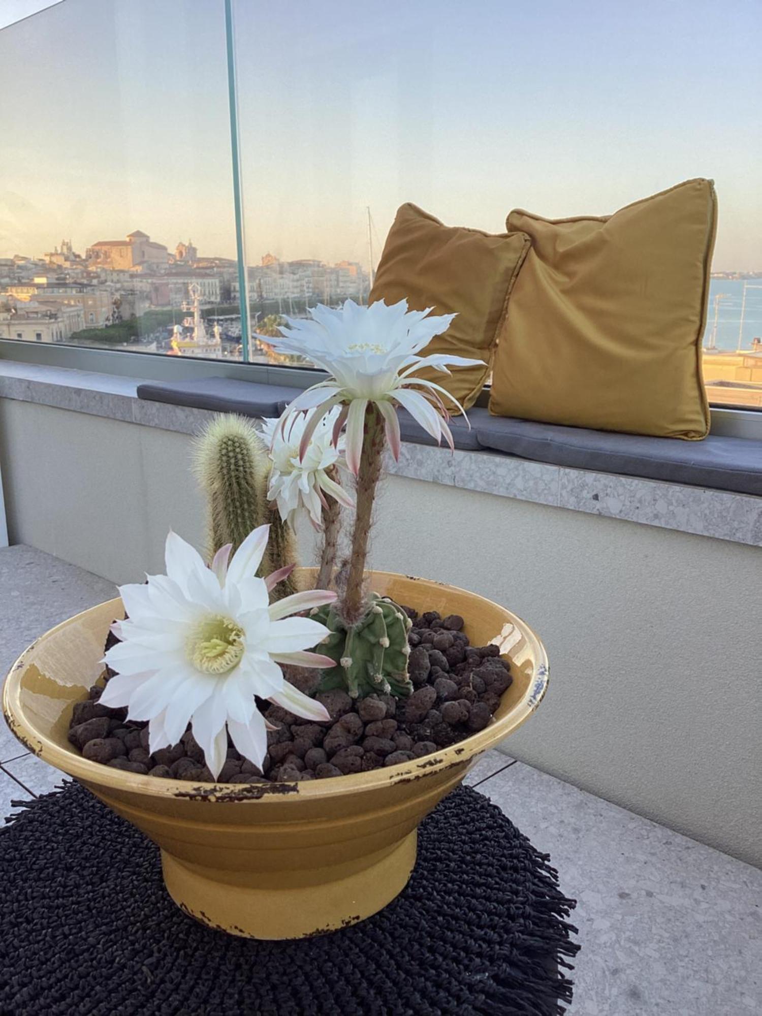 La Terrazza Sul Porto Panzió Szirakúza Kültér fotó
